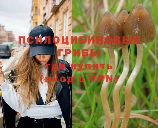 круглые Новодвинск