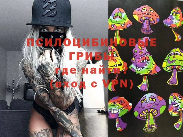круглые Новодвинск