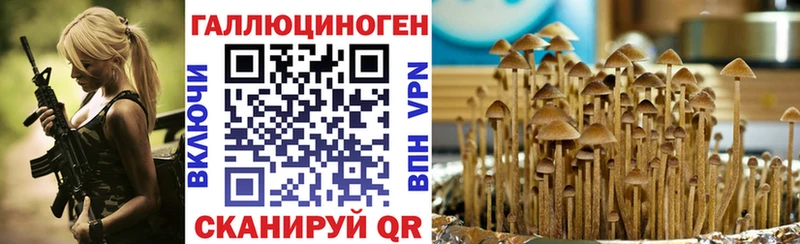 мега онион  купить наркотик  Кизел  Галлюциногенные грибы мицелий 
